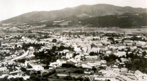 Image - A panorama of Khust (early 20th-century photo).
